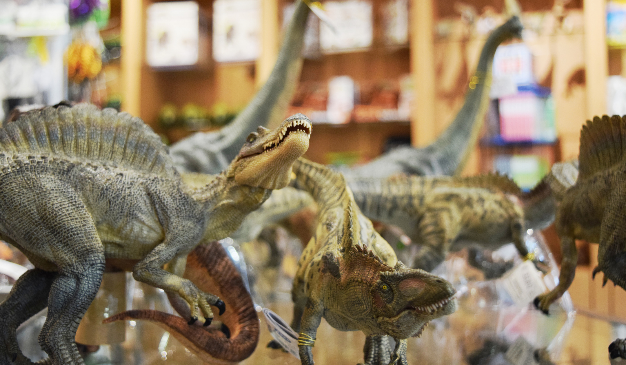 Dinosaurier im Museumsshop