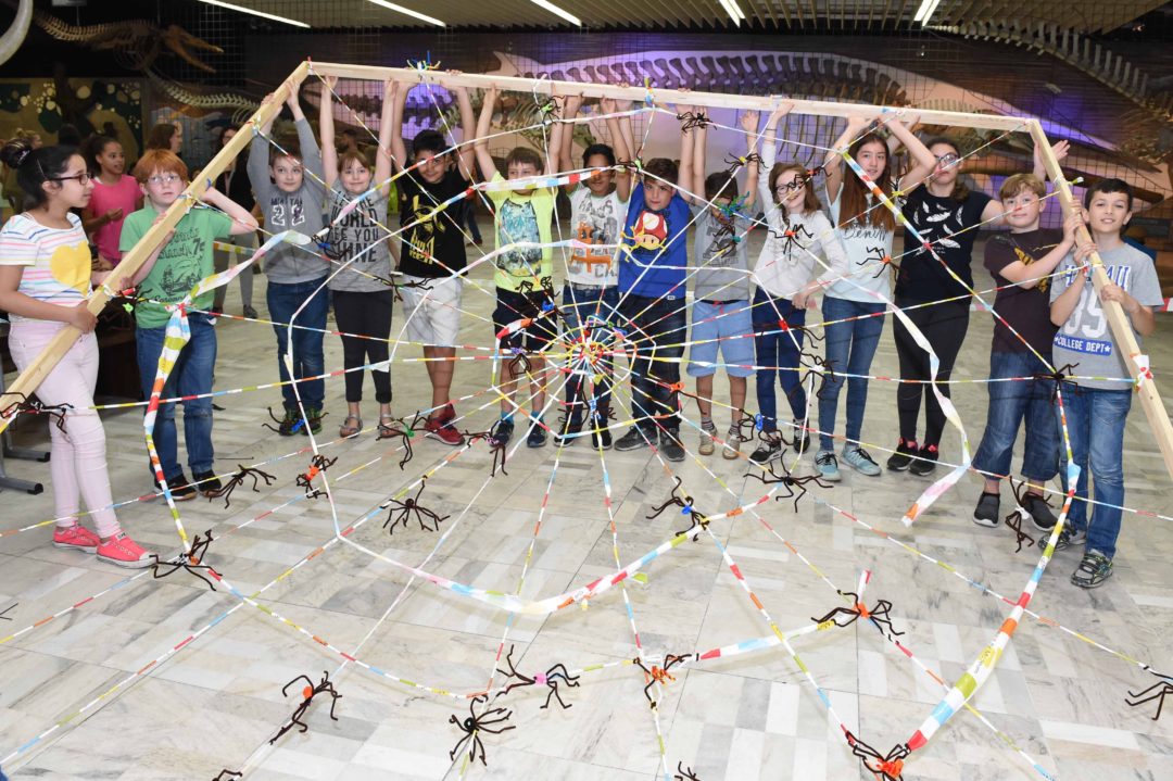 Kinder Spinnennetz Museum
