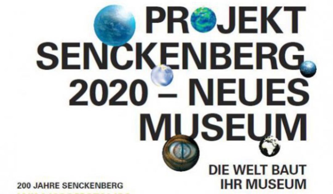 Natur Forschung Museum Cover 01/2017_klein