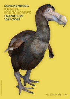 200 Jahre Senckenberg Naturmuseum Frankfurt Dodo