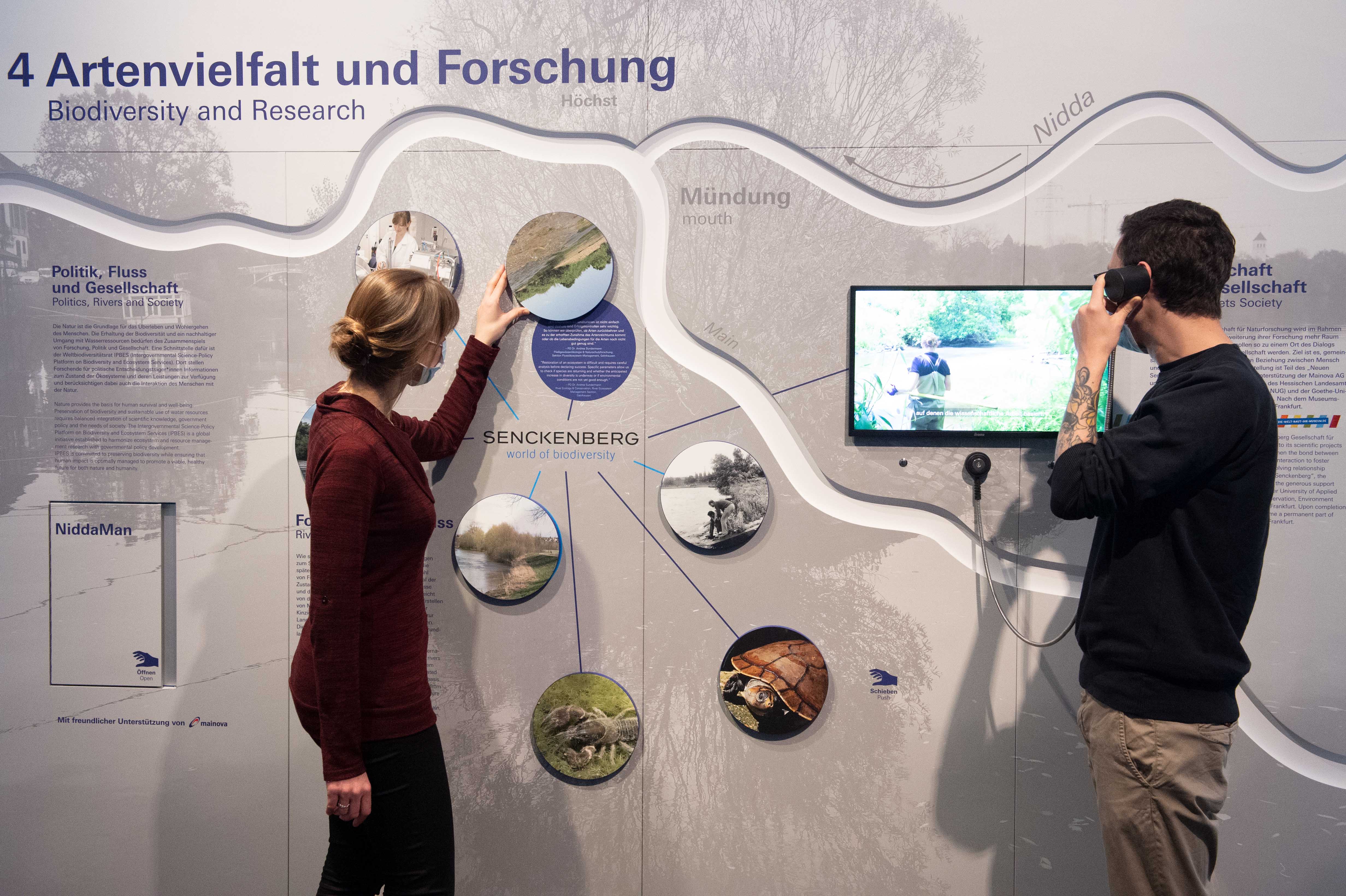 Ausstellung Flüsse 12 Artenvielfalt u Forschung c Senckenberg Tränkner