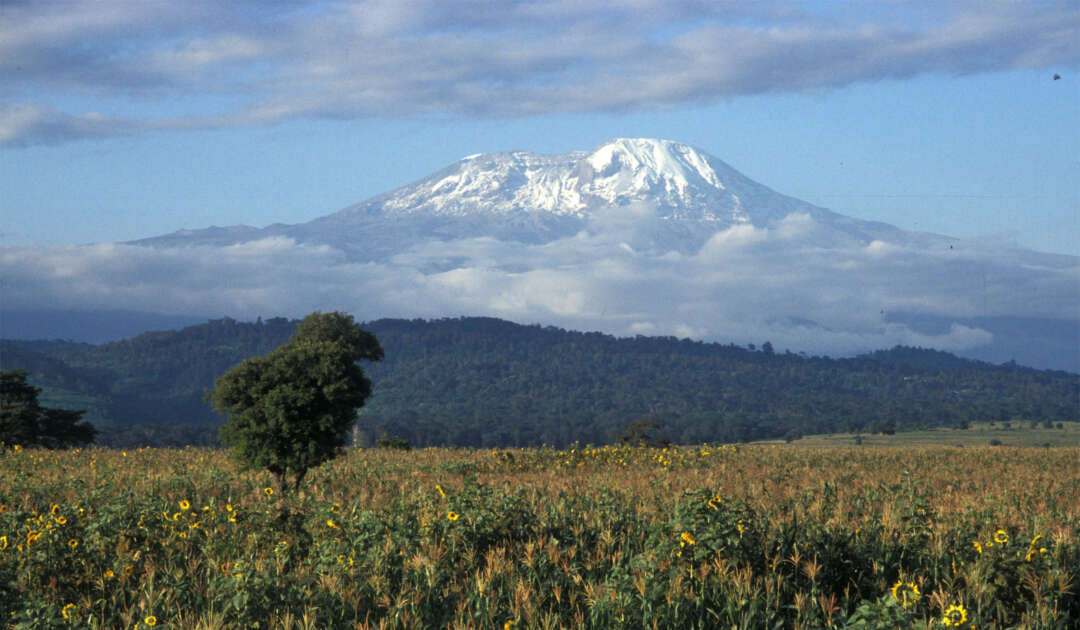 Kilimanscharo Ostafrika