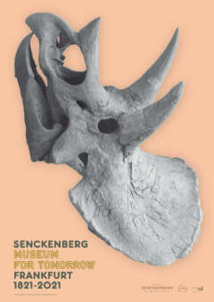 senckenberg-21-poster200jahre_210518_A1.indd