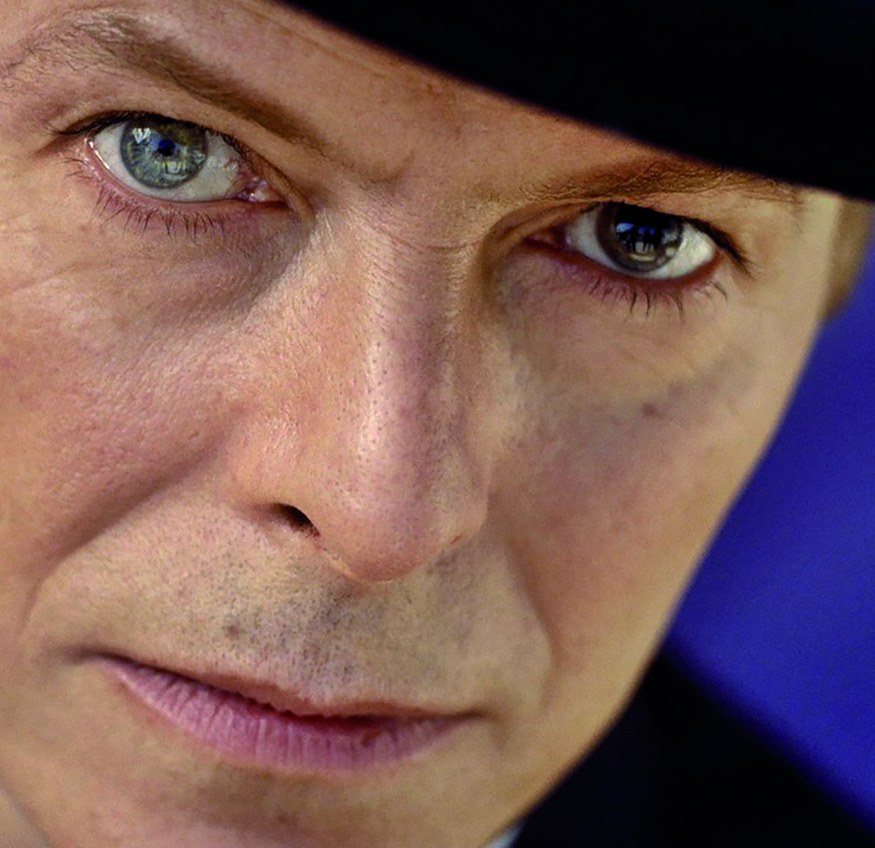 Rock Fossils David Bowie