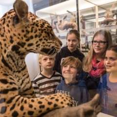 Jaguar und Kinder